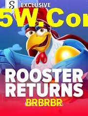 Crash Games Statistics BRBRBR